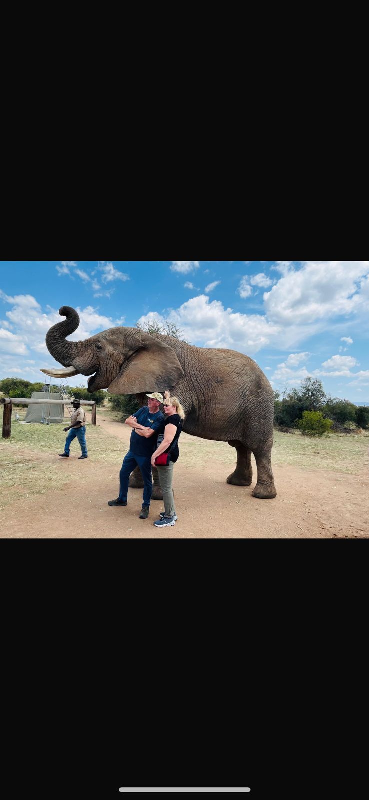Mashaba Transfers & Tours gallery